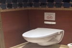 Pinnacle Suite Stateroom Picture
