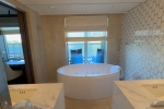 Pinnacle Suite Stateroom Picture