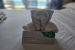 Superior Balcony Stateroom Picture