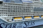 Star of the Seas Ship Picture  21