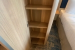 Infinite Balcony Stateroom Picture