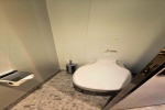 Massive-Suite Stateroom Picture