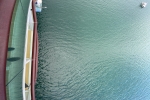 Junior Suite Stateroom Picture