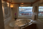 Master Suite Stateroom Picture
