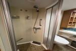 Interior Stateroom Picture