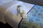 Small Interior Stateroom Picture
