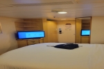 Atrium Promenade View Stateroom Picture
