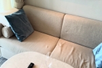 Medallion Stateroom Picture