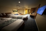 Cove Stateroom Picture