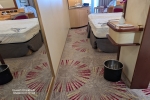 Princess Suite Stateroom Picture