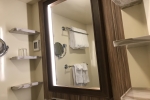 Cove Balcony Stateroom Picture