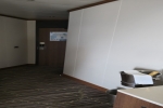 Deluxe Owner Suite Stateroom Picture