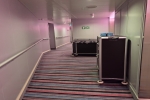 Terrace Stateroom Picture