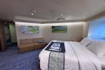 Oceanview Stateroom Picture
