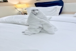 2-Bedroom Family Villa Stateroom Picture