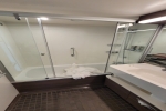 Oceanview Stateroom Picture