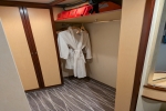 Mini-Suite Stateroom Picture