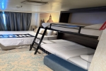 Cove Stateroom Picture