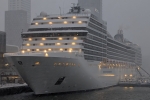 MSC Poesia Ship Picture  6