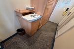 Deluxe Verandah Stateroom Picture
