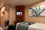 Interior Stateroom Picture