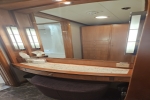 Penthouse Stateroom Picture