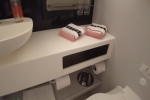 Terrace Stateroom Picture