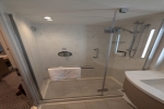 Premium Oceanview Stateroom Picture