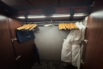 Club Oceanview Stateroom Picture