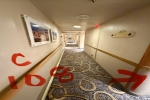 Balcony Stateroom Cabin C108. Picture