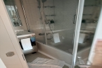 Deluxe Oceanview Stateroom Picture