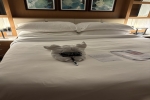 Celebrity Suite Stateroom Cabin 1615. Picture