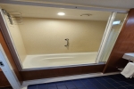 Club Suite Stateroom Picture