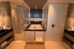 Iconic Stateroom Cabin 12100. Picture