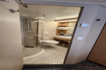 Boardwalk and Central Park Balcony Stateroom Cabin 10601. Picture