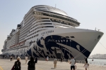 MSC Euribia Ship Picture  4