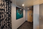 Aqua Suite Stateroom Cabin 11730. Picture