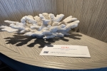 Edge Infinite Veranda Stateroom Picture