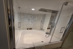 Sky Stateroom Cabin 9203. Picture