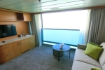 Infinite Stateroom Cabin 15117. Picture