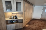 Oceanview Stateroom Cabin 11003. Picture