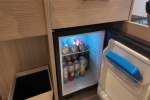 Mini-Suite Stateroom Picture