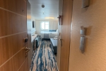 Oceanview Stateroom Picture