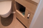 Concierge-Oceanview Stateroom Cabin 11006. Picture