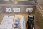 Deluxe Balcony Stateroom Picture