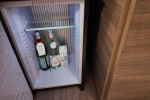 Penthouse Stateroom Cabin 9212. Picture