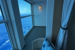 Infinite Family Balcony Stateroom Picture