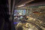 Atrium Promenade View Stateroom Cabin 8609. Picture