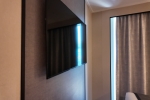 Balcony Stateroom Cabin 14796. Picture
