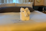 Oceanview Stateroom Picture
